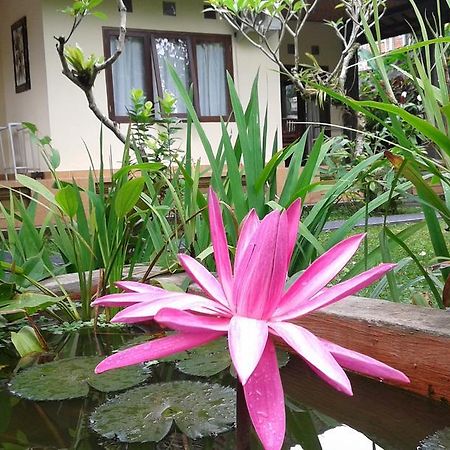 Gangga House Hotel Ubud  Room photo