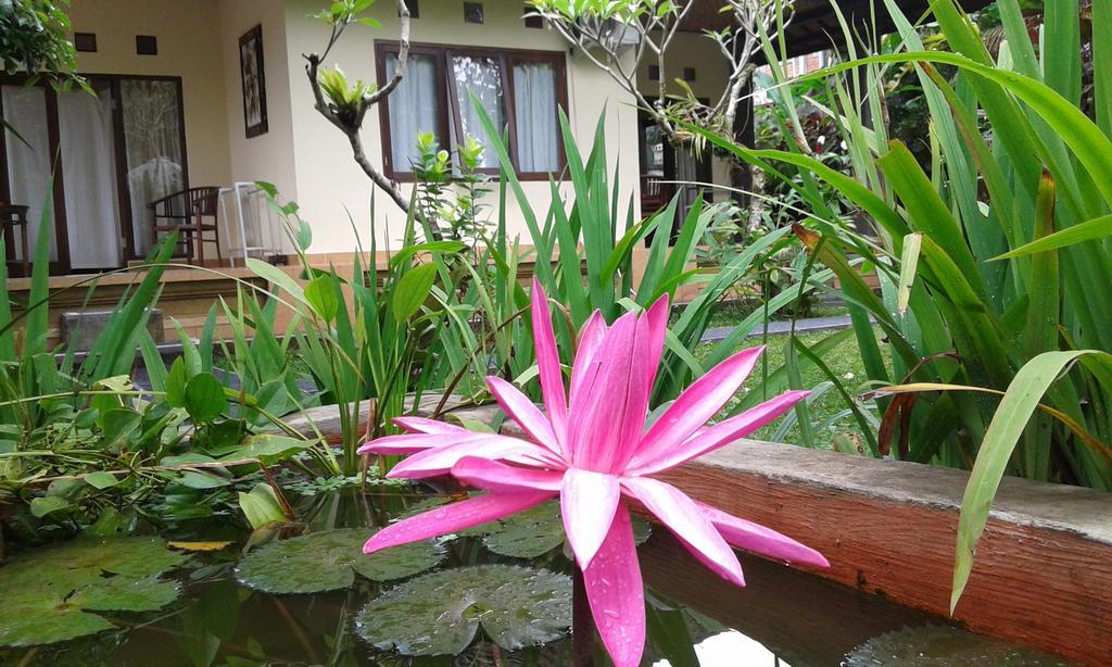 Gangga House Hotel Ubud  Room photo